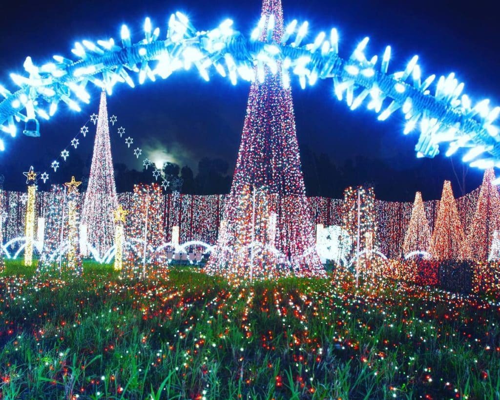Nights of Lights — illuminated holiday display on the fairgrounds